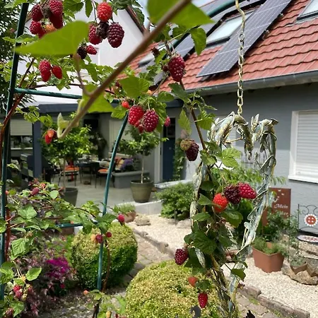 Apartment Ferien- Und Monteurswohnung Heilbrunnen Woerth am Rhein