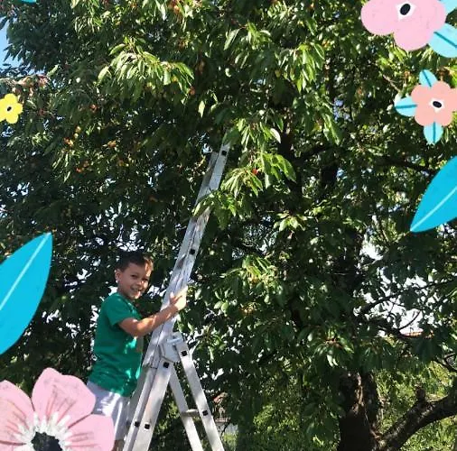 דירה Ferien- Und Monteurswohnung Heilbrunnen *