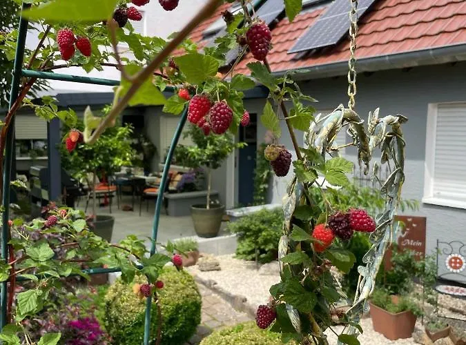 Apartamento Ferien- Und Monteurswohnung Heilbrunnen Woerth am Rhein